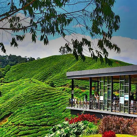 Mutiara Muslim Homestay Brinchang Exterior photo
